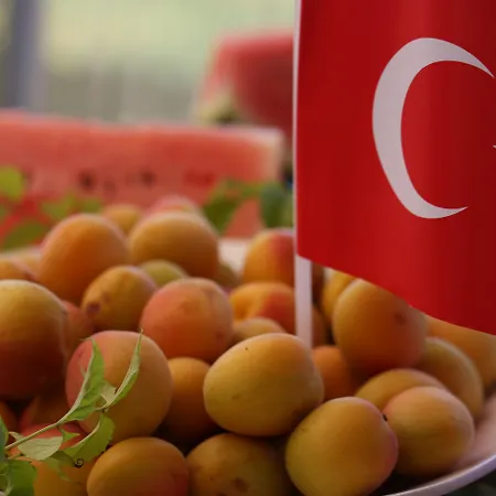 Hotel Port River & 5*