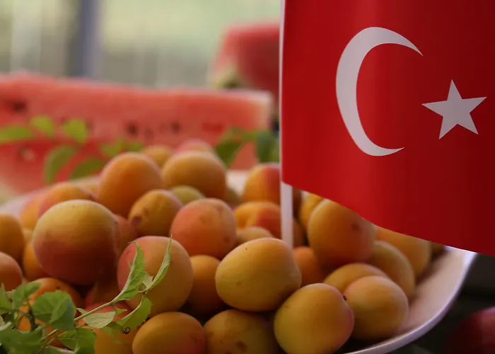 Otel Port River & 5*